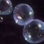 bubbles6moose
bubbles